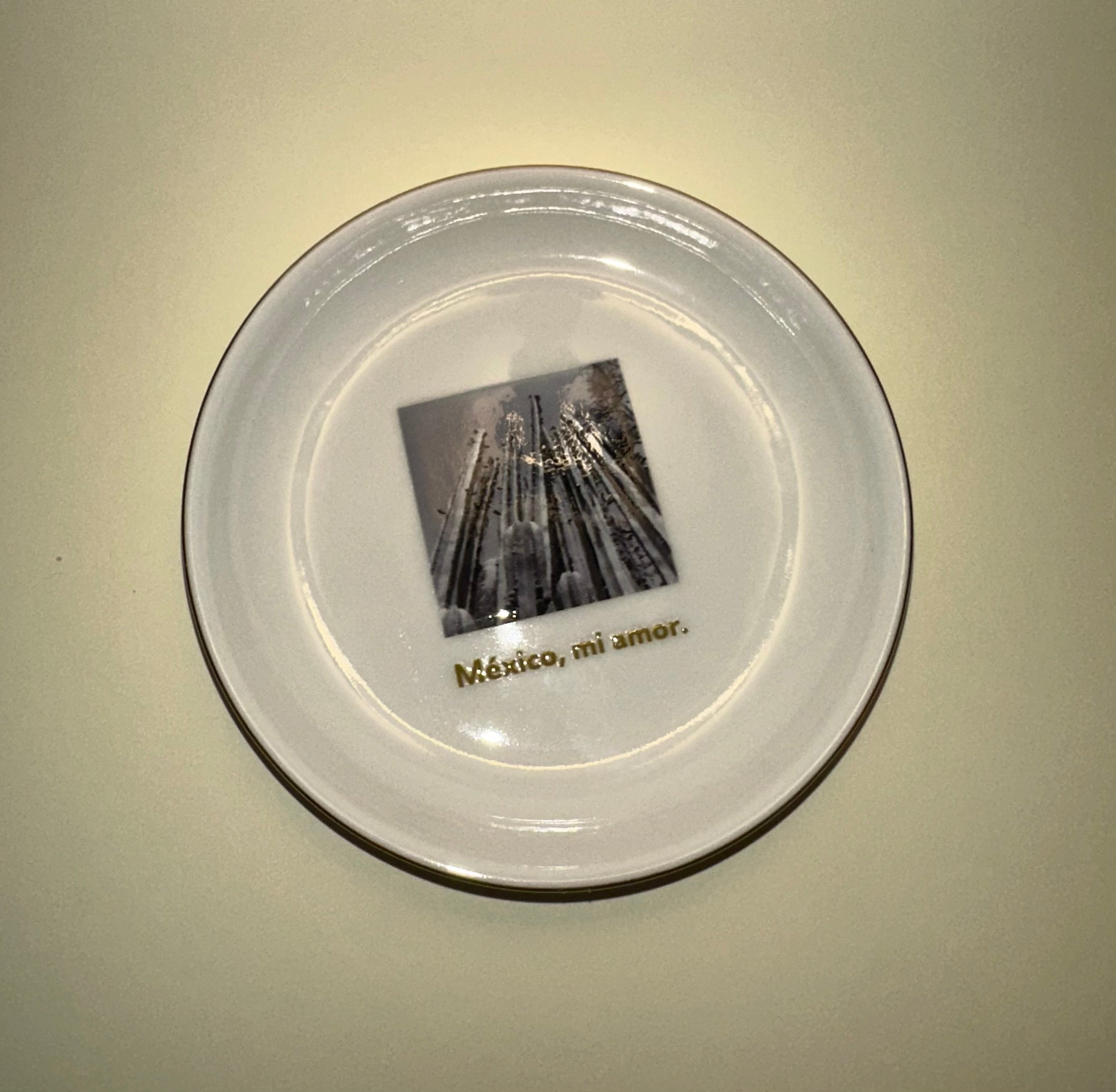 Plato de cerámica "Cactus"