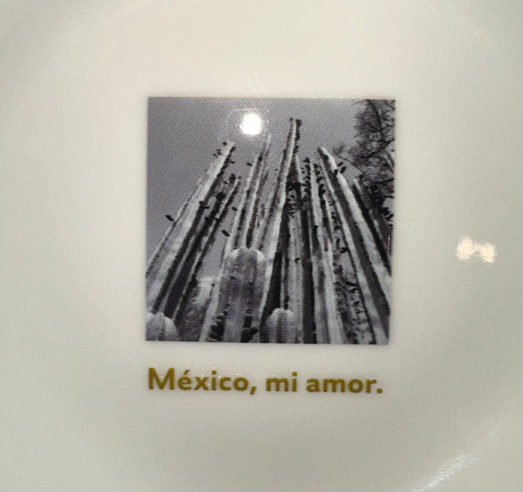 Plato de cerámica "Cactus"