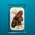 Pintura hecha a mano (Imán para refrigerador) "Monarca) (pieza única)
